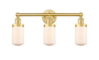 Dover 23-Inch 3-Light Bath Vanity Light 11.875-Inch High