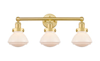 Olean 25-Inch 3-Light Bath Vanity Light Bowl Shade