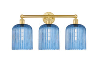 Bridal Veil 23-Inch 3-Light Bath Vanity Light 8-Inch Shade