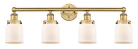 Edison Bath Vanity Light Brass 34 Inch