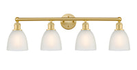 Edison Bath Vanity Light Cast Brass Finish
