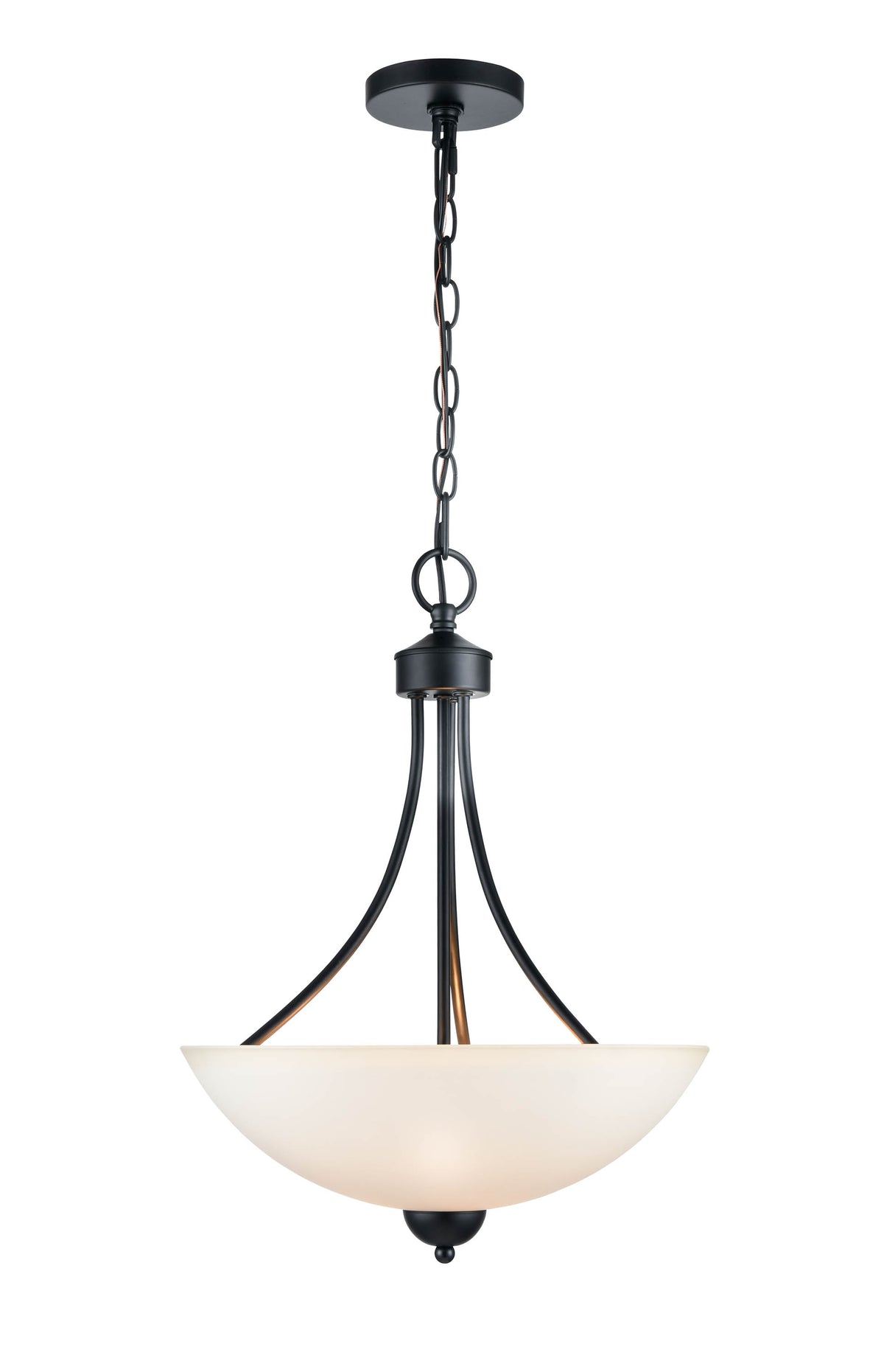 19.75'' Ivey Lake Matte Black 2 Light Pendant