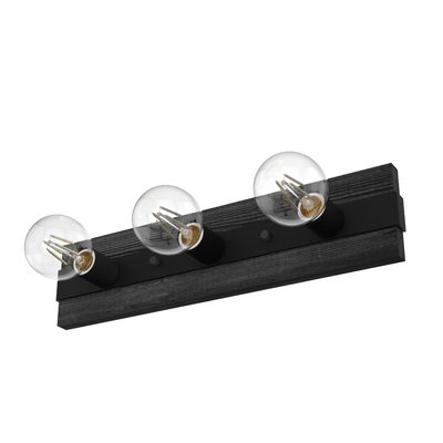 Donelson 18.5-inch 3-light Natural Black Iron and Dark Ash Vanity Light