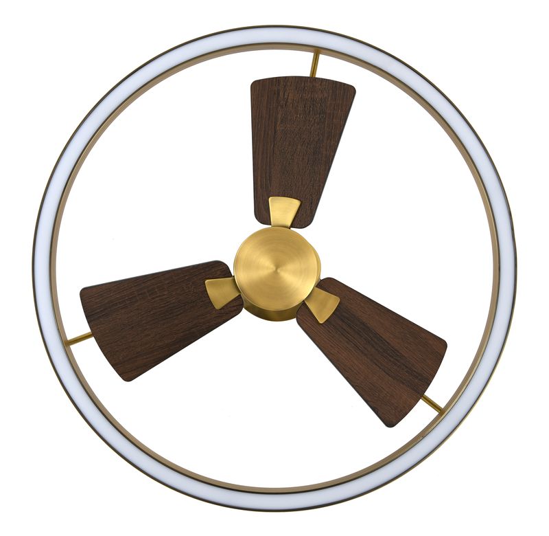 28 Inch 1 Light LED DC Black Fan in Antique Bronze with Remote