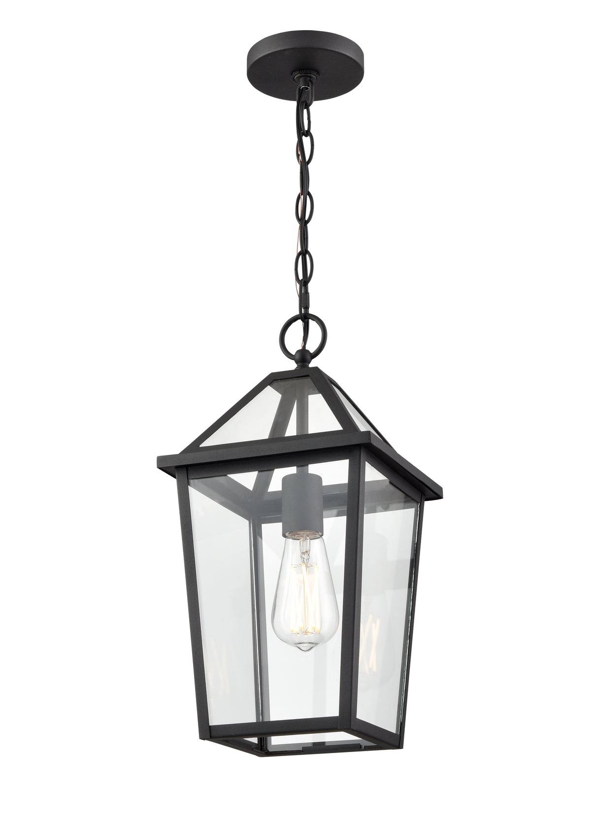 16.38'' Eston Textured Black 1 Light Hanging Lantern