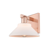Arcadia Sconce Cast Brass Glass Steel