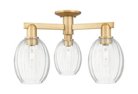 Arcadia Semi-Flush Mount 24.5 Diameter