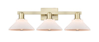 Arcadia Bath Vanity Light Cast Brass Steel