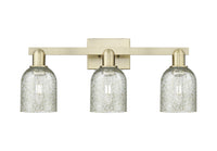 Arcadia Bath Vanity Light Cast Brass