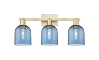 Arcadia Bath Vanity Light Cast Brass Glass