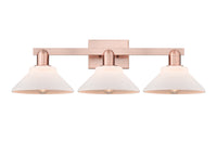 Arcadia Bath Vanity Light Cast Brass Steel