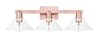 Arcadia Bath Vanity Light Cast Brass Steel