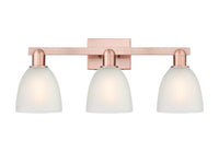 Arcadia Bath Vanity Light Cast Brass