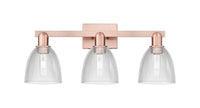 Arcadia Bath Vanity Light Cast Brass