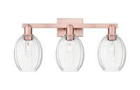 Arcadia Bath Vanity Light Cast Brass Steel