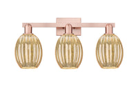 Arcadia Bath Vanity Light Cast Brass Steel