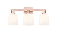 Arcadia Bath Vanity Light Cast Brass Glass