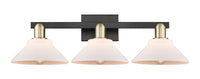 Arcadia Bath Vanity Light Cast Brass Steel