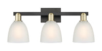Arcadia Bath Vanity Light Cast Brass