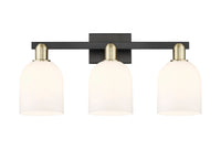 Arcadia Bath Vanity Light Cast Brass Glass