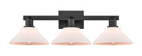 Arcadia Bath Vanity Light Cast Brass Steel