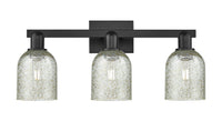 Arcadia Bath Vanity Light Cast Brass