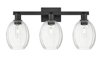 Arcadia Bath Vanity Light Cast Brass Steel