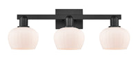 Arcadia Bath Vanity Light Cast Brass Steel