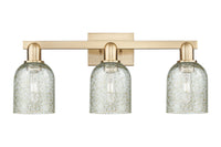 Arcadia Bath Vanity Light Cast Brass