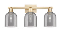 Arcadia Bath Vanity Light Cast Brass Glass