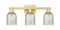 Arcadia Bath Vanity Light Cast Brass