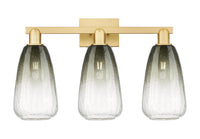 Arcadia Bath Vanity Light Cast Brass