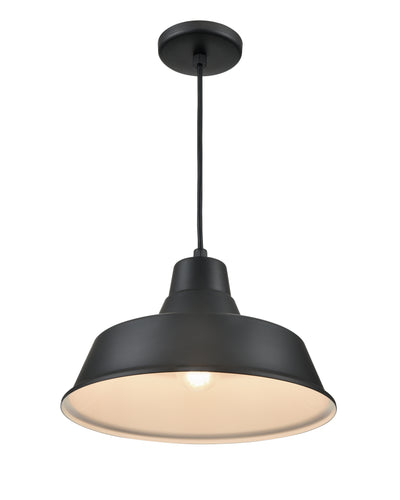 14-inch R Series Satin Black 1-Light Black Glass Pendant Light