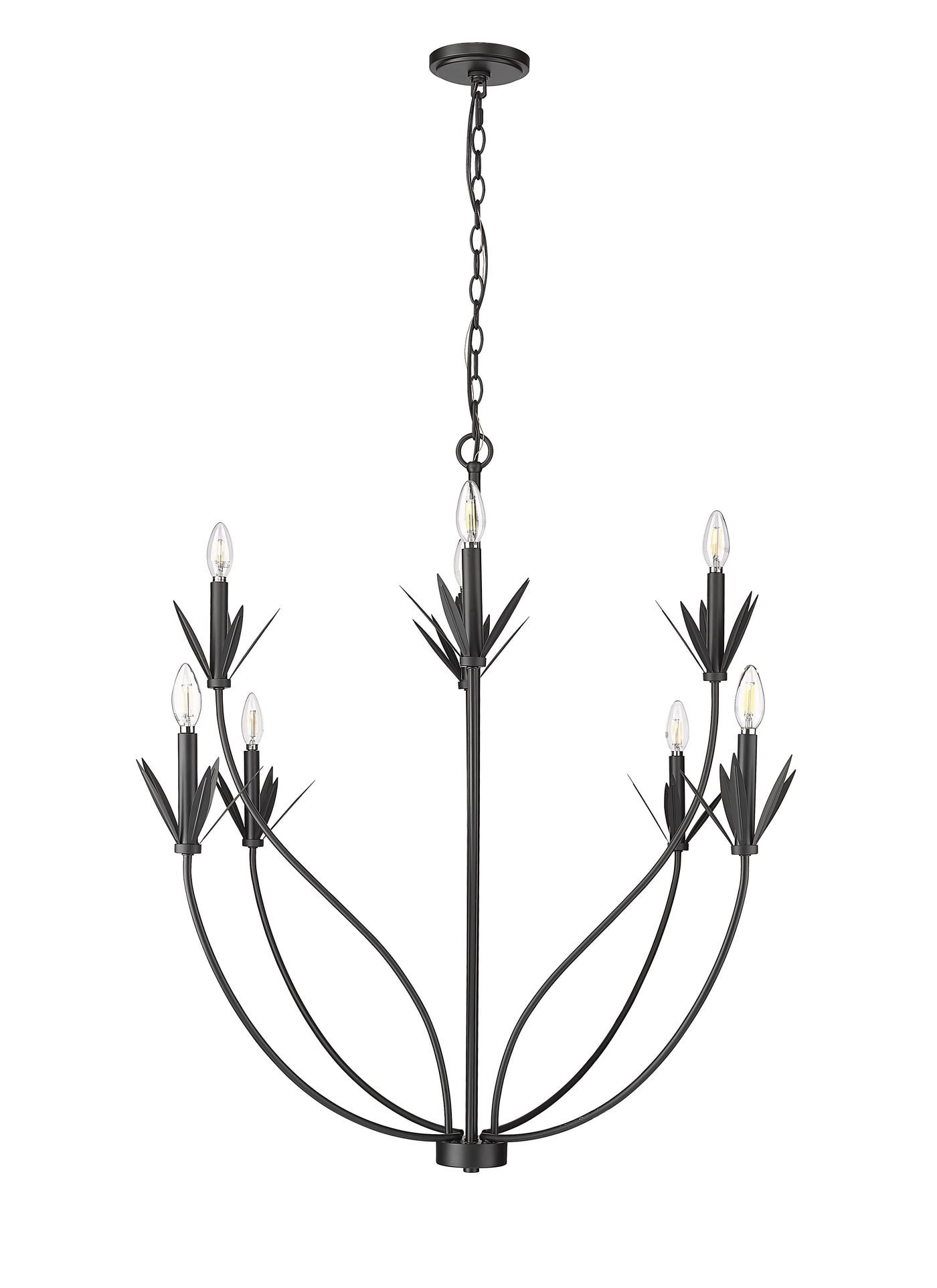 37'' Primrose Matte Black 8 Light Chandelier