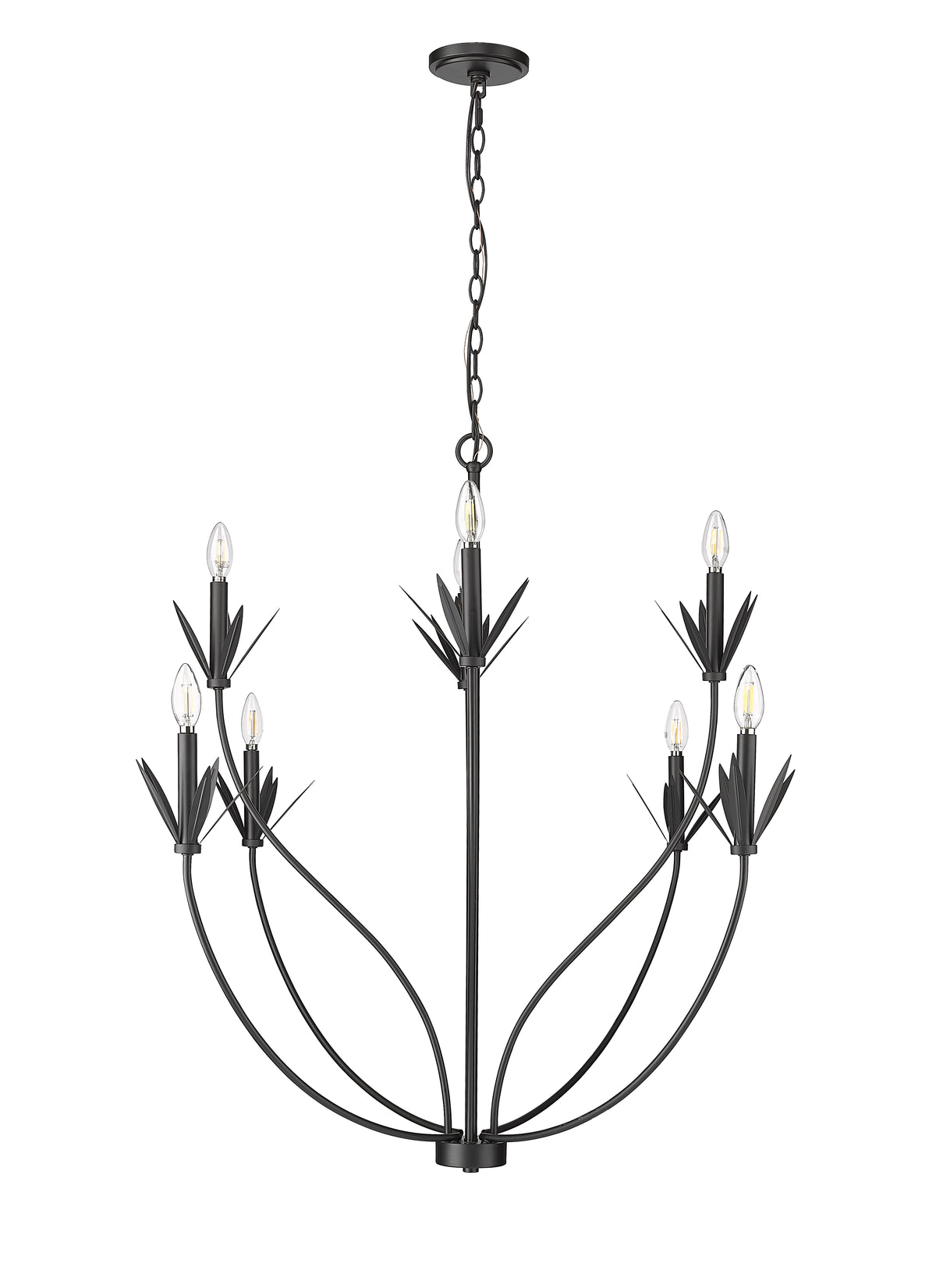 37'' Primrose Matte Black 8 Light Chandelier