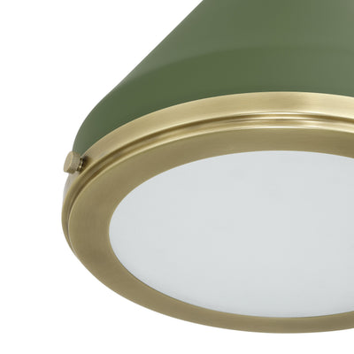 Doyle 13-inch 1-light Natural Brass Pendant Light with Matte Green Metal Shade