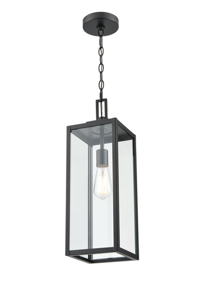 21.5'' Atless Powder Coated Black 1 Light Hanging Pendant