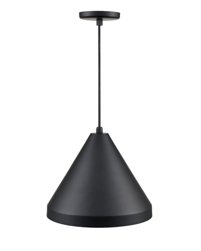 11.25'' R Series Satin Black 1 Light Pendant