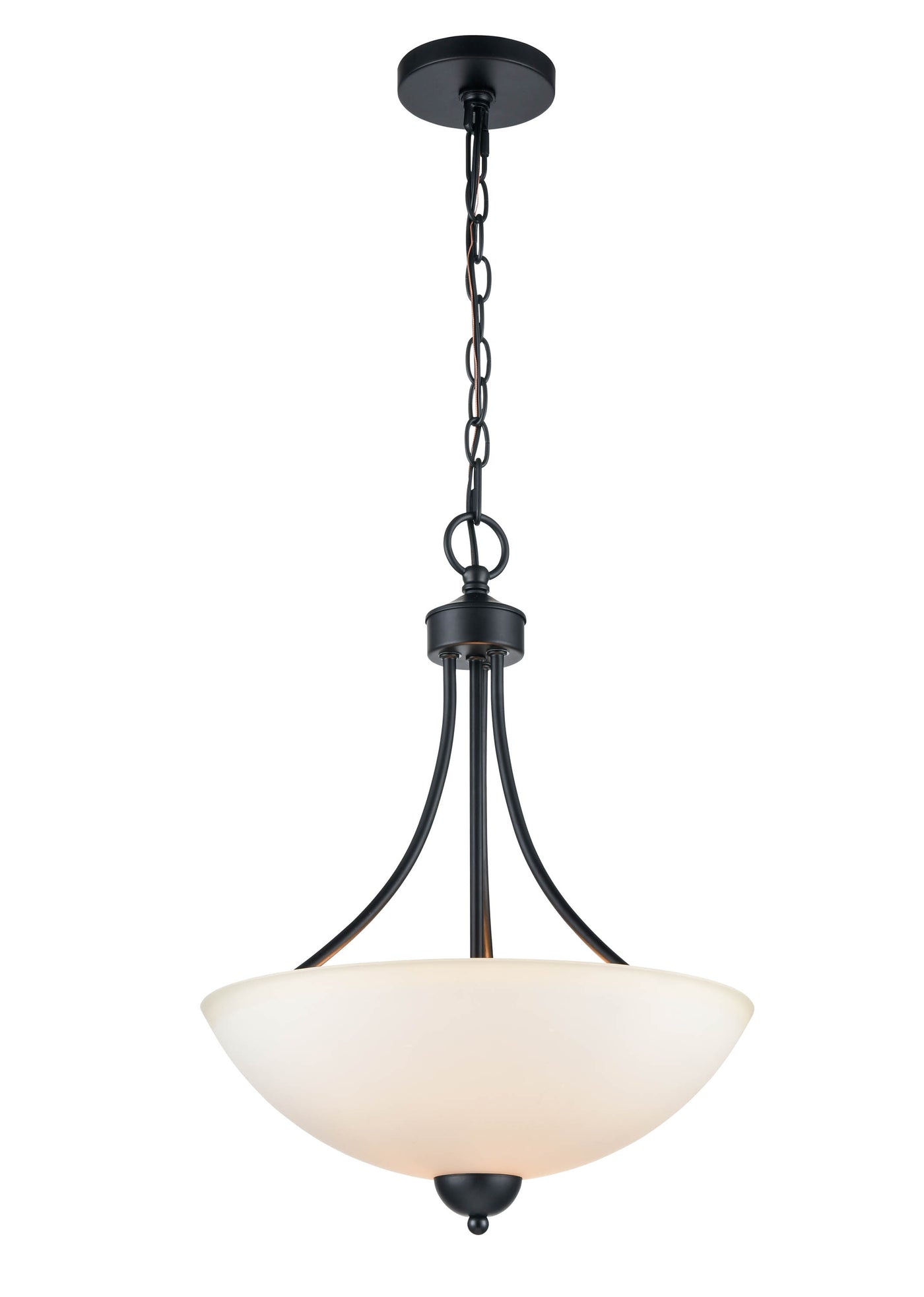 19.75'' Ivey Lake Matte Black 2 Light Pendant