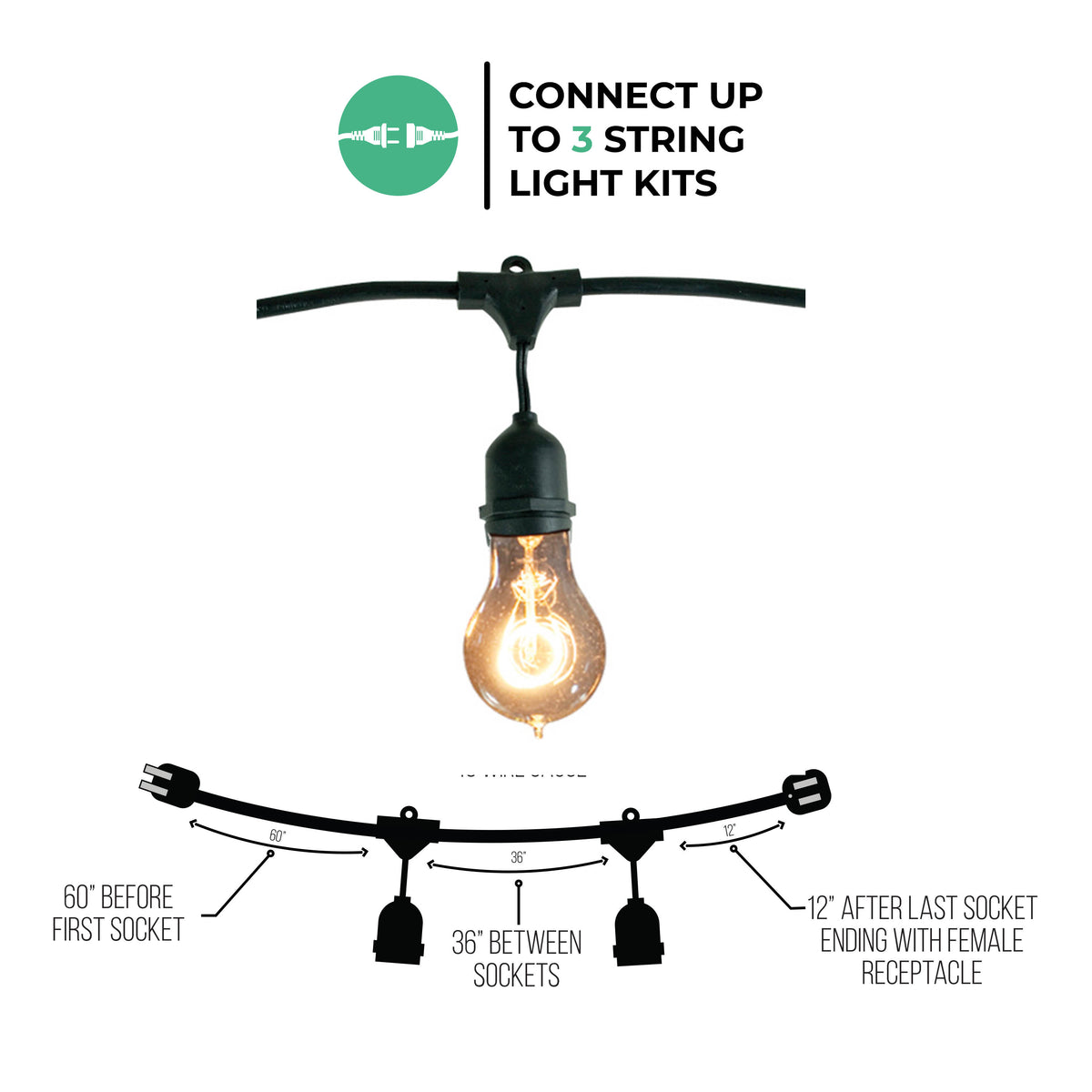48-foot A19 Incandescent String Light Kit with 15 Sockets, 2200K, 2-Pack