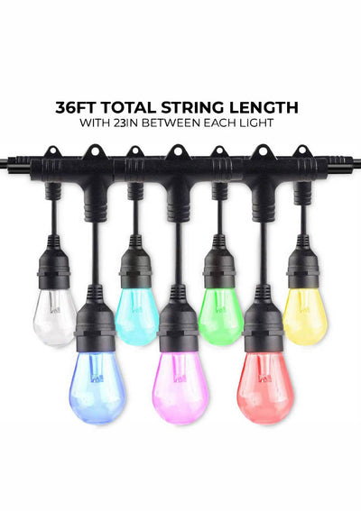 36-foot Black S14 Smart RGB Color-Changing LED String Light Kit with 18 Bulbs, 2-Pack