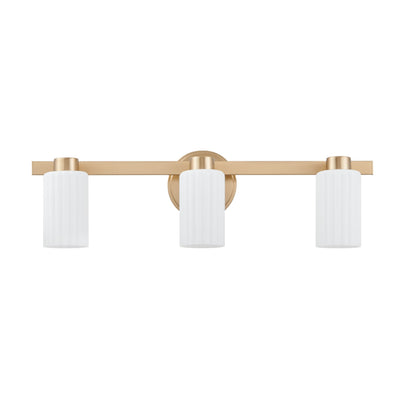 Bedminster 24-inch 3-light Champagne Gold Vanity Light with Etched Opal Ribbed Glass Shades