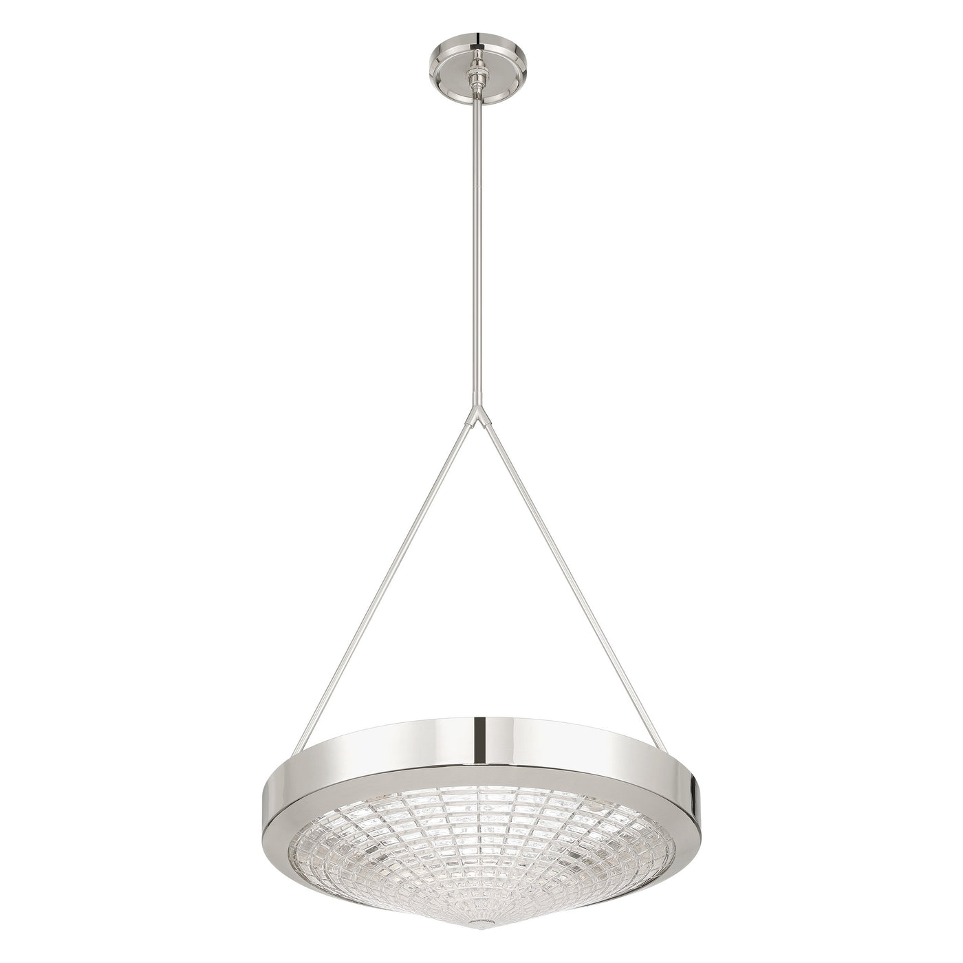 Agate 20-inch 4-light Polished Nickel Pendant Light with Clear Holophane Glass Shade