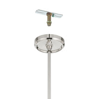 Agate 20-inch 4-light Polished Nickel Pendant Light with Clear Holophane Glass Shade