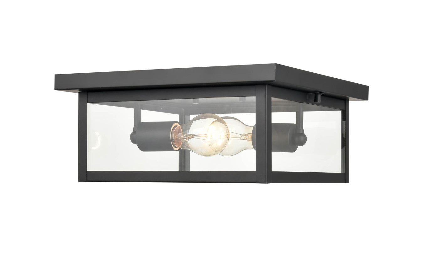 12-inch Evanton Powder Coated Black 2-Light Outdoor Flush Mount Ceiling Light with Clear Glass