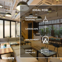 ST18 7.6W Dimmable Clear Filament LED Light Bulb with E26 Base, 2700K, 800 Lumens, 10-Pack