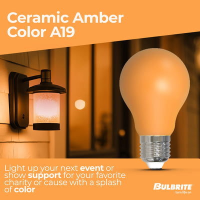 A19 4.5W Dimmable Ceramic Anver Filament LED Light Bulb with E26 Base, 10-Pack