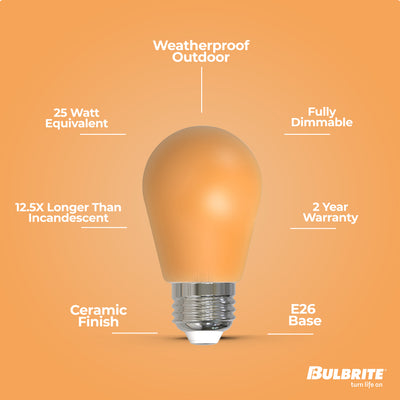 S14 2.5W Dimmable Ceramic Anver Filament LED Light Bulb with E26 Base, 10-Pack