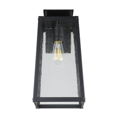 Salford 17-inch 1-light Matte Black Exterior Wall Sconce with Clear Antique Glass