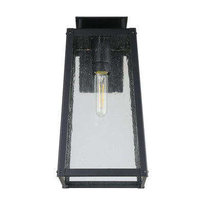 Salford 17-inch 1-light Matte Black Exterior Wall Sconce with Clear Antique Glass